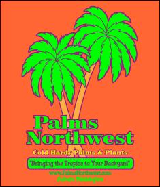 PalmsNWWebLogo